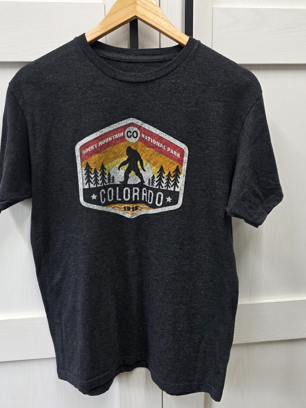 Dark Gray Colorado Graphic Tee - Unbranded
